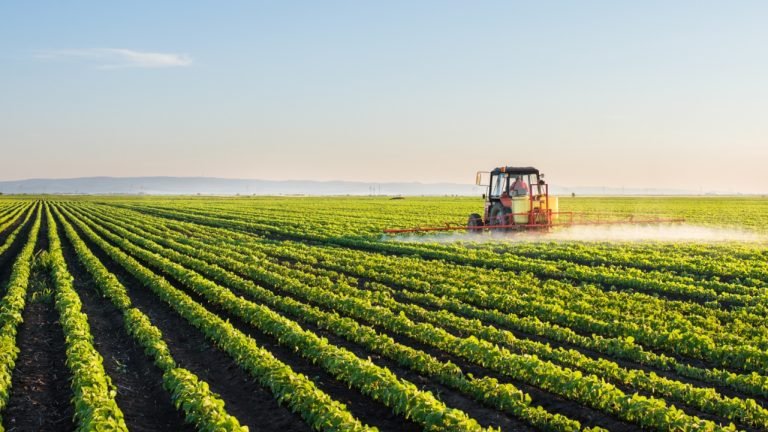 SRB defende flexibilização de venda de terras para estrangeiros em Projeto de Lei SRB defende flexibilização de venda de terras para estrangeiros em Projeto de Lei