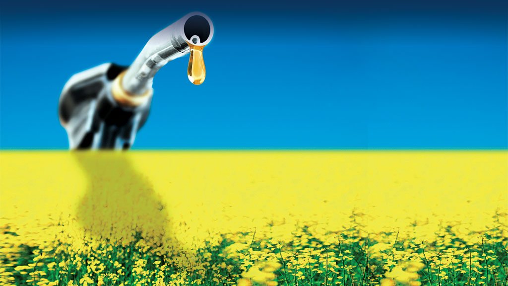 Crédito: Istock Crédito: Istock
