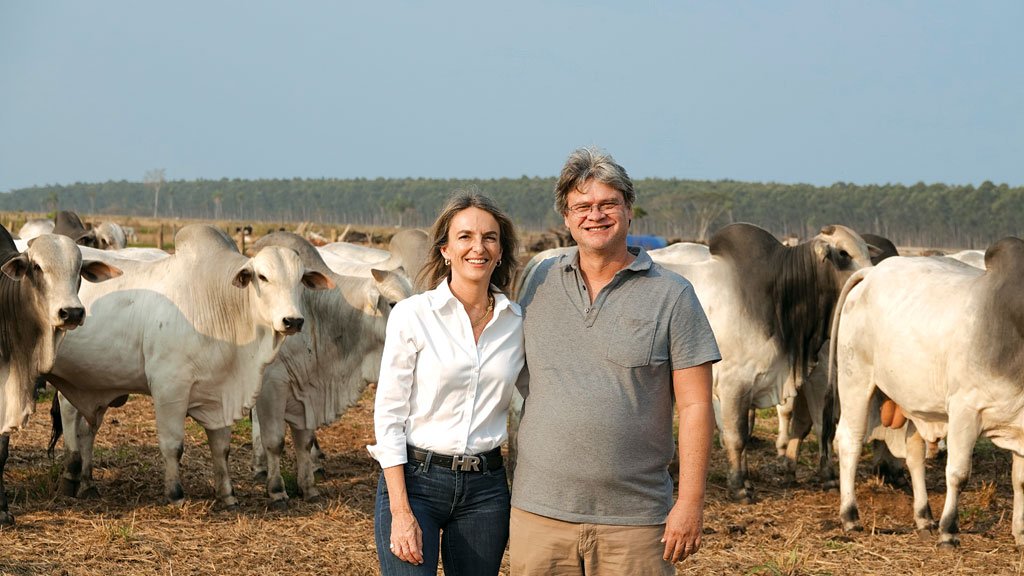 Touros na linha de frente Touros na linha de frente