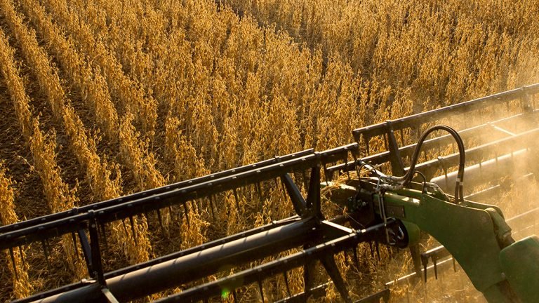 ChemChina e Sinochem anunciam fusão de negócios agrícolas em holding ChemChina e Sinochem anunciam fusão de negócios agrícolas em holding