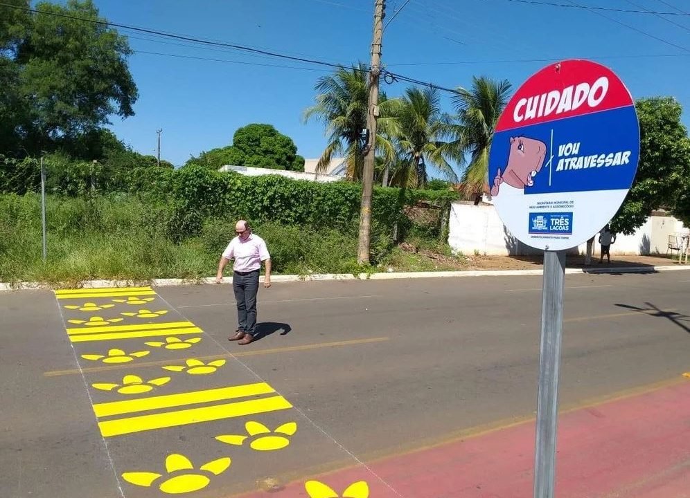Crédito: Divulgação Crédito: Divulgação
