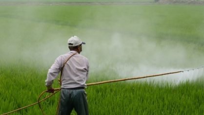 Ministério da Agricultura publica registro de 16 defensivos agrÃcolas - Dinheiro Rural