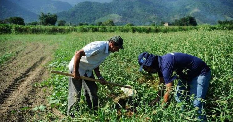 Crédito: Arquivo/Agência Brasil Crédito: Arquivo/Agência Brasil