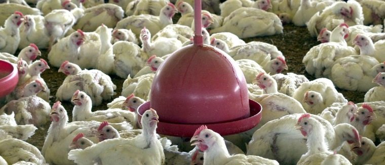 Crédito: Arquivo/Agência Brasil Crédito: Arquivo/Agência Brasil