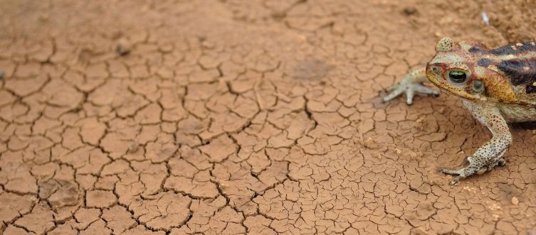 Crédito: Arquivo/Agência Brasil Crédito: Arquivo/Agência Brasil