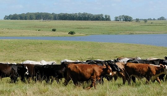 Crédito: Arquivo/Agência Brasil Crédito: Arquivo/Agência Brasil