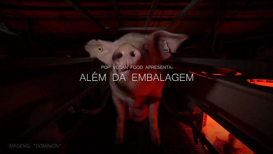 Crédito: Divulgação Crédito: Divulgação