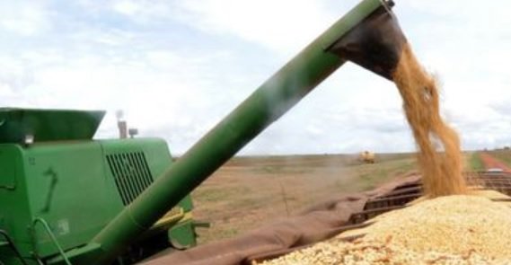 Crédito: Arquivo/Agência Brasil Crédito: Arquivo/Agência Brasil