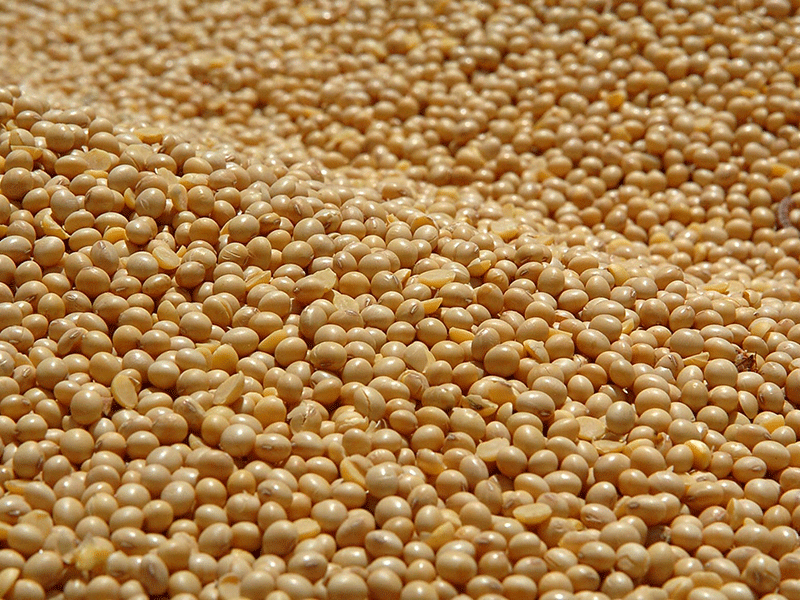 Crédito: Divulgação / Abiove Crédito: Divulgação / Abiove