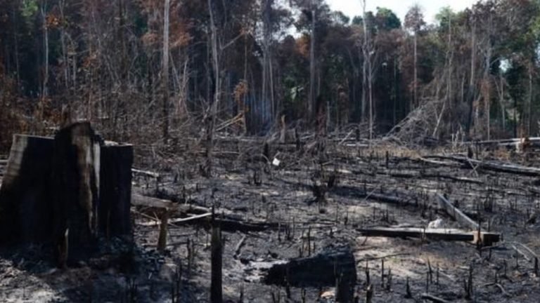 Crédito: Arquivo/Agência Brasil Crédito: Arquivo/Agência Brasil
