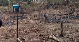 Crédito: Prefeitura de Manaus Crédito: Prefeitura de Manaus