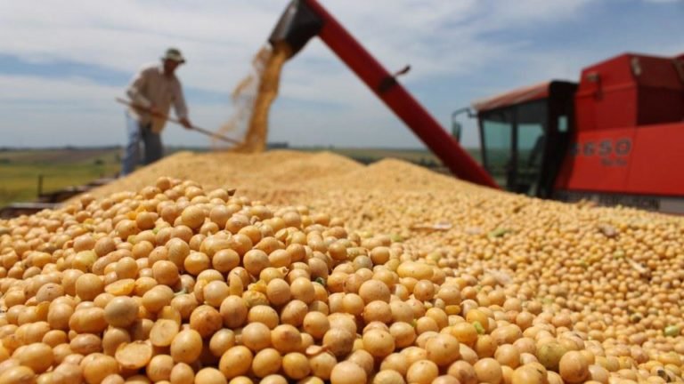 Crédito: Arquivo/Agência Brasil Crédito: Arquivo/Agência Brasil