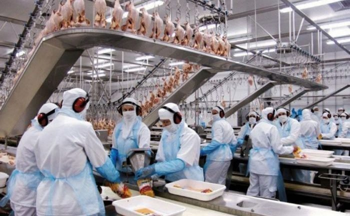 Crédito: Arquivo / Agência Brasil Crédito: Arquivo / Agência Brasil