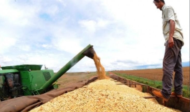 Crédito: Arquivo/Agência Brasil Crédito: Arquivo/Agência Brasil