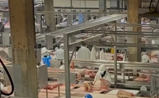 China autoriza retomada da exportação de carne de 2 unidades da JBS do RS China autoriza retomada da exportação de carne de 2 unidades da JBS do RS