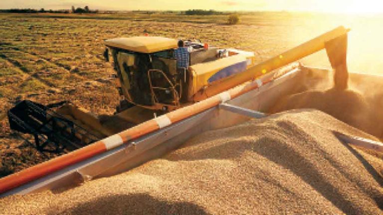 RECORDE  Produção histórica de 264,8 milhões de toneladas de grãos encontrou demanda internacional aquecida