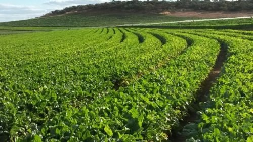 Crédito: Arquivo / Agência Brasil Crédito: Arquivo / Agência Brasil
