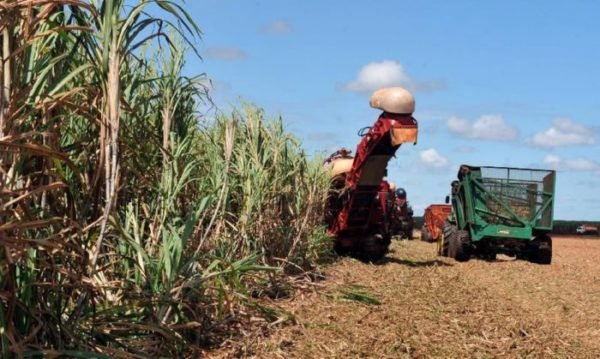 Crédito: Arquivo / Agência Brasil Crédito: Arquivo / Agência Brasil