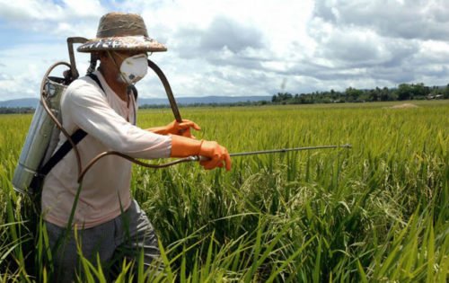 Crédito: Arquivo / Agência Brasil Crédito: Arquivo / Agência Brasil