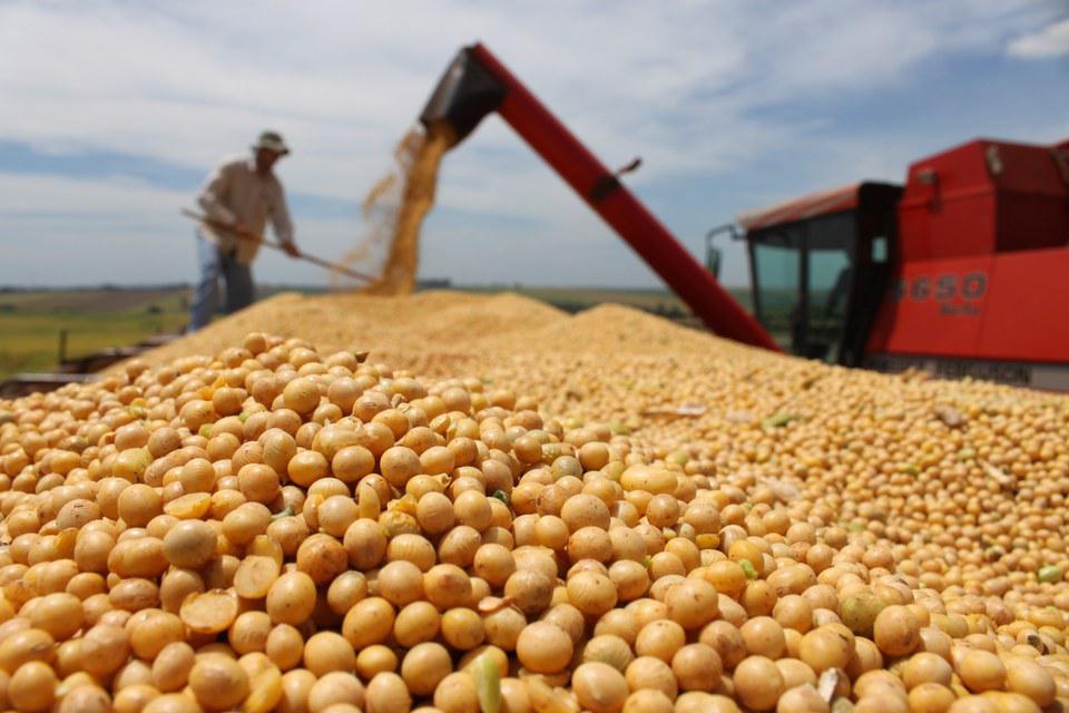 Os exportadores dos EUA são obrigados a relatar qualquer venda de 100 mil toneladas soja