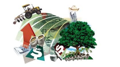 Crédito: Ilustarção: Evandro Rodrigues Crédito: Ilustarção: Evandro Rodrigues