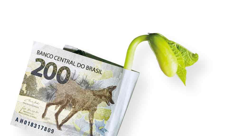 Crédito: Montagem com fotos: Istock Crédito: Montagem com fotos: Istock