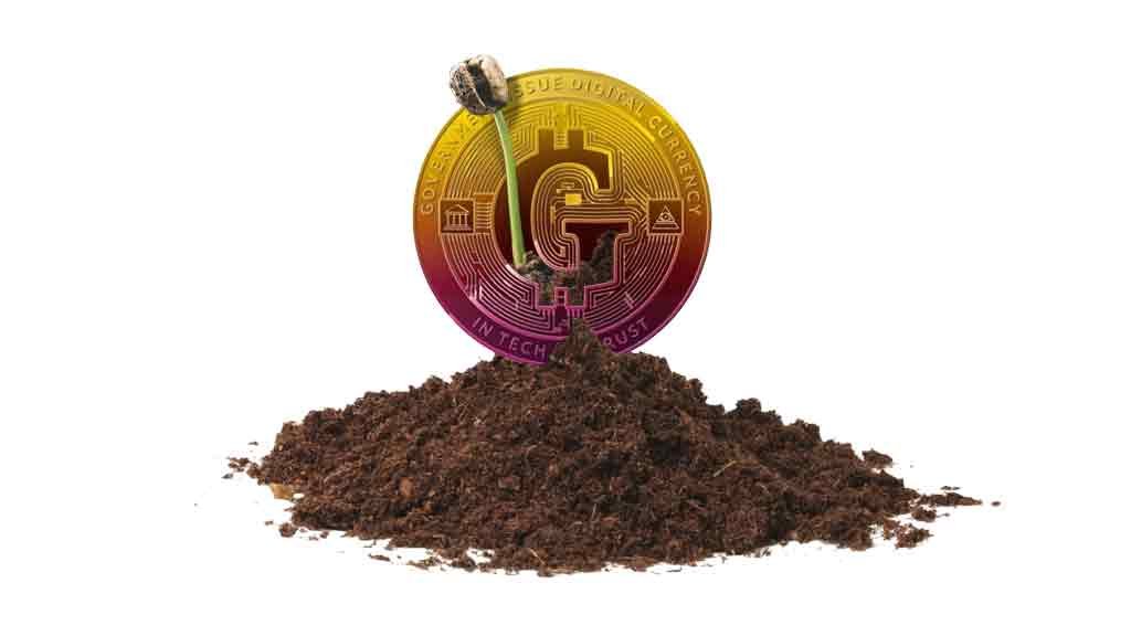 O futuro é dos tokens O futuro é dos tokens