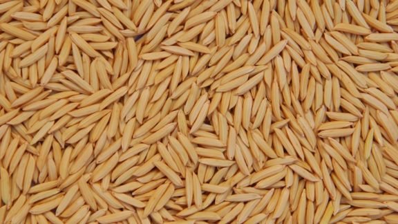 Cooperja inaugura unidade de beneficiamento de arroz Cooperja inaugura unidade de beneficiamento de arroz