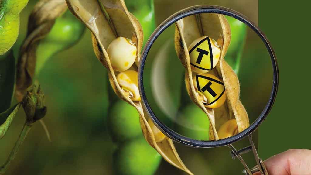Crédito: Montagem sobre fotos: istock Crédito: Montagem sobre fotos: istock