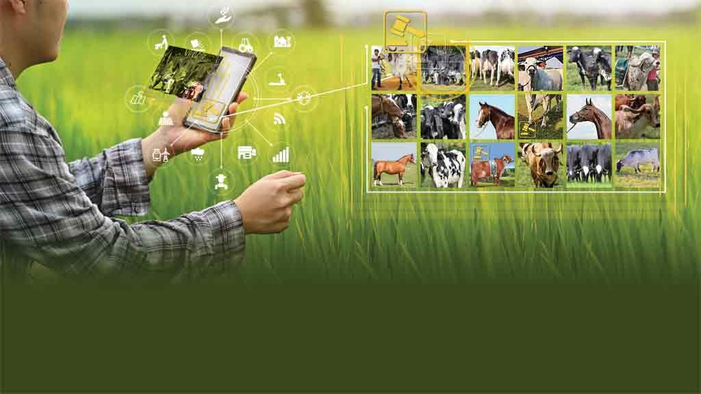 Crédito: Montagem Evandro Rodrigues/fotos ISTOCK Crédito: Montagem Evandro Rodrigues/fotos ISTOCK