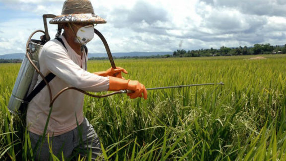 Defensivos: EPA renova registro de herbicidas da Corteva, mas com restrições