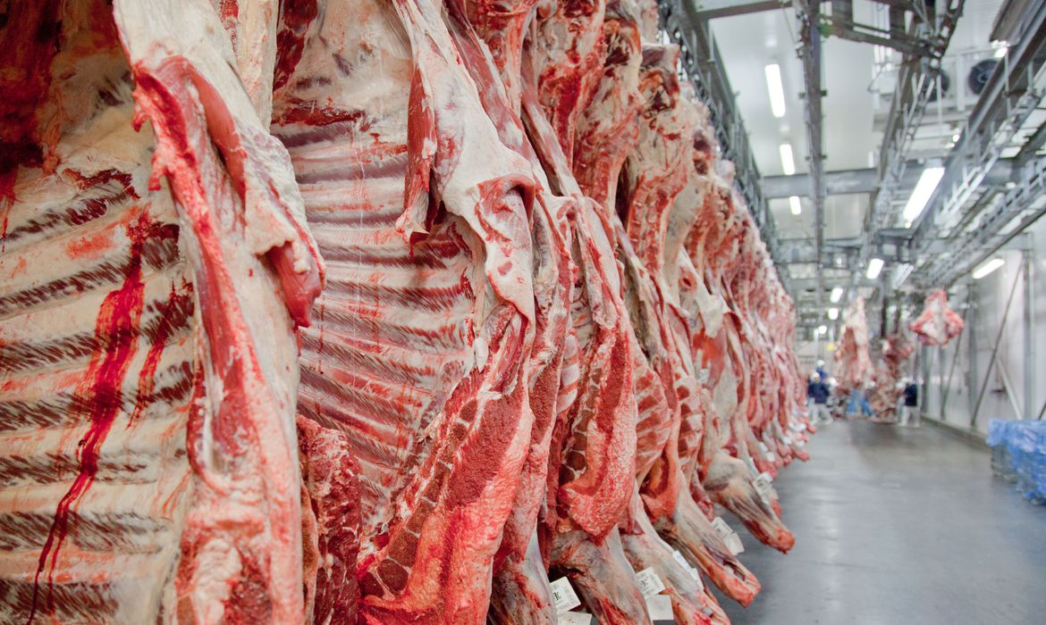 O investimento faz parte de uma iniciativa mais ampla para reduzir o que o governo considera uma forte concentração no setor de processamento de carnes