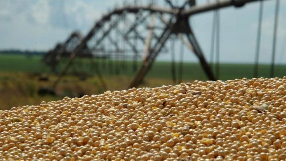 Abiove eleva preço para soja, farelo e óleo e estima recorde para exportações