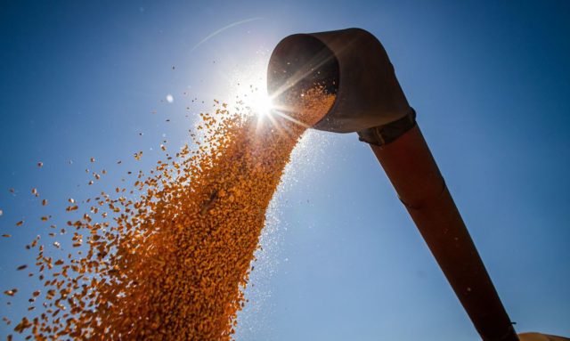 Aumento na produção é explicado por um melhor desempenho do milho