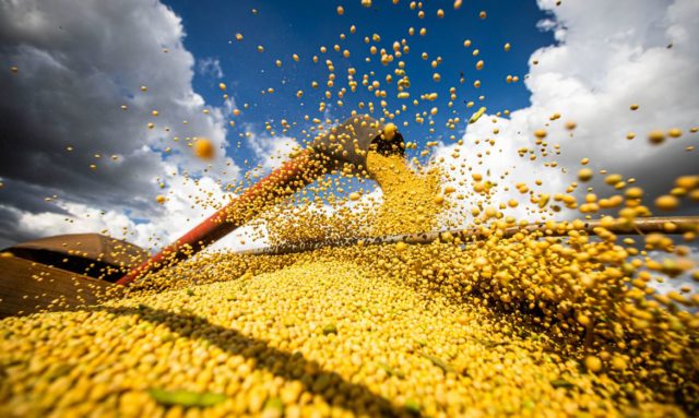 Ficou acertado que a Ucrânia, um dos maiores exportadores de grãos do mundo, terá permissão para enviar cerca de 20 milhões toneladas presas no país desde o início da invasão