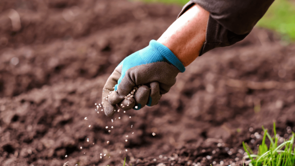 Anda: entrega de fertilizantes ao mercado recua 4,7% em maio na comparação anual